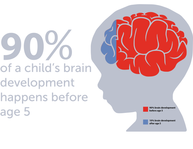 Child Brain Development Statistic